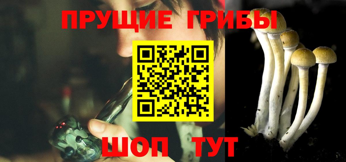 Псилоцибиновые грибы Magic Shrooms Лабинск